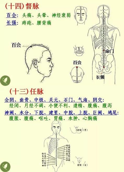 按摩|经络养生，给你意想不到的效果！