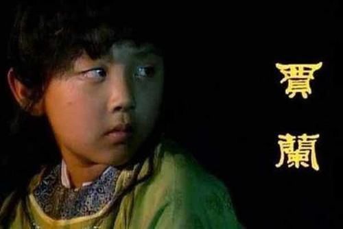 科举|贾兰是如何“胸悬金印”的?是文是武?是科举还是军功?