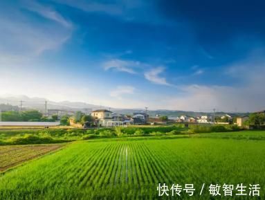 清新|杨万里的两首绝句,清新朴实,美如画卷,更令人百读不厌