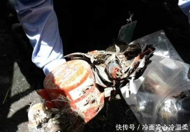 波音737MAX系列全面停飞!早有多名飞行员匿名上报飞行异常