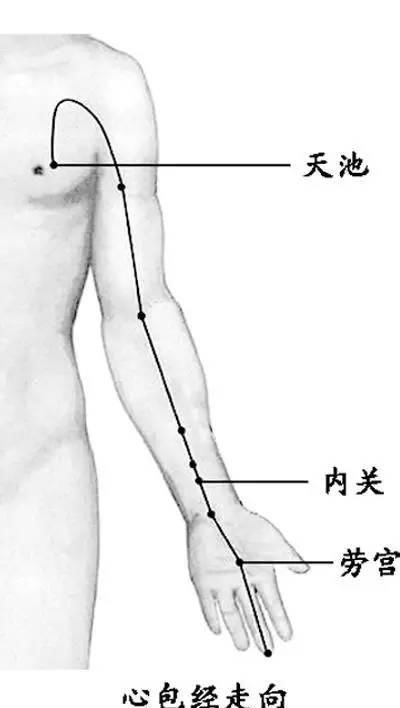  浑身|百病源于堵！身上这三条经络，每天敲一敲，浑身轻松，百病消！