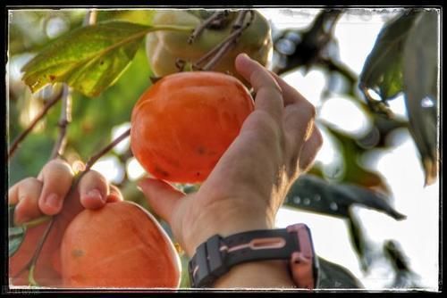 患者|慢性胃炎迟迟不愈?也许是这2方面没做好吧?