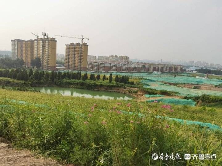 加速度|淄博“有解”①丨破解低效用地难题!未来之城跑出经开“加速度”