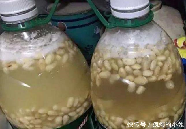 淘米水和黄豆肥别用了,此肥料人称“花卉肥王”,啥花都通用