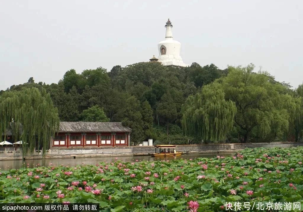 新鲜出炉（富丽堂皇）富丽堂皇皇是什么意思 第24张