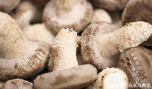 买香菇,挑大的还是小的牢记“3买3不买”,谁也不敢忽悠你!