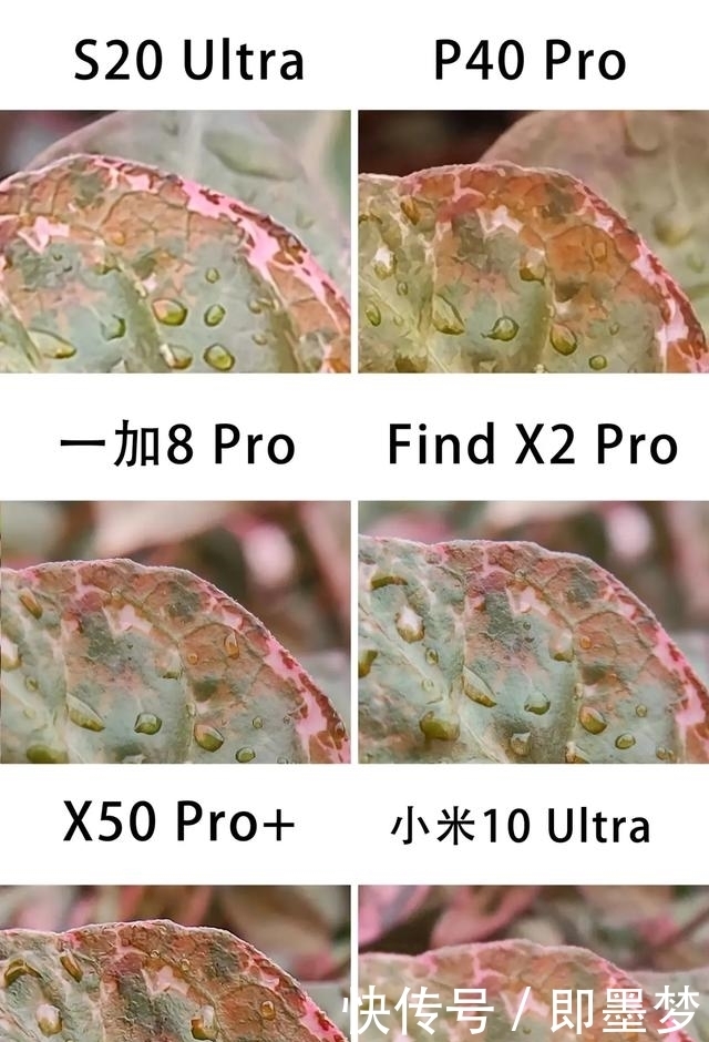 手机|夜景和微距,哪台旗舰手机最强?