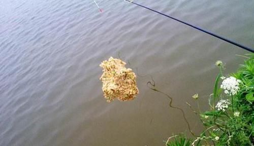 绝杀|野钓绝杀饵料:鸡蛋的多种用法,别看饵料简单,效果可不一般!
