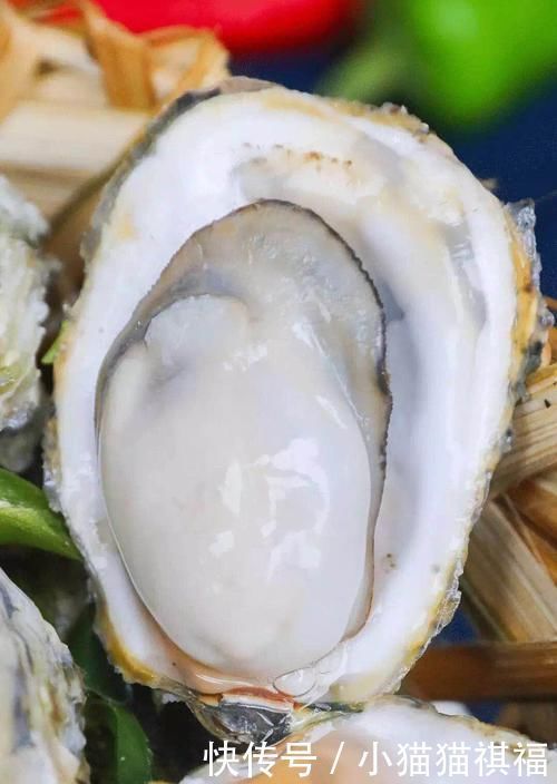 原来牡蛎、生蚝的区别这么大,还有很多人不知道,老渔民告诉你