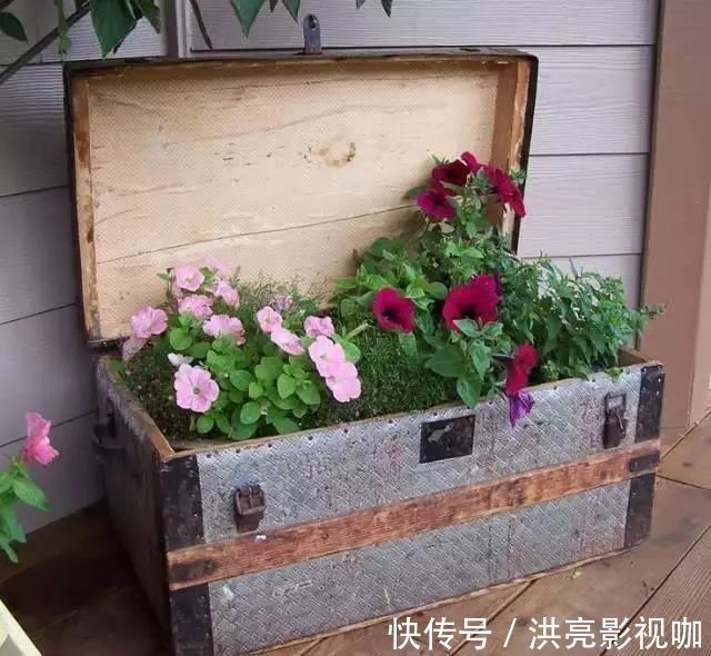 神器|别再花钱买普通花盆了,你意想不到的种花神器!