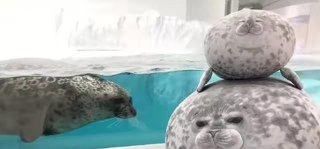 物资|物资宝箱刷新位置,全图共五处,物资堪比空投!