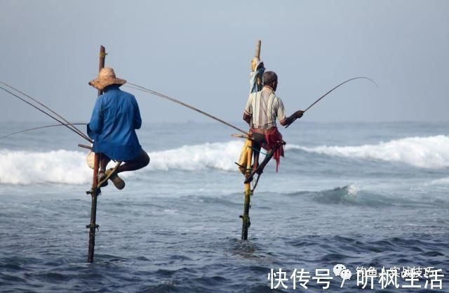 钓鱼老是空军，掌握这几个细节，新手也能爆护