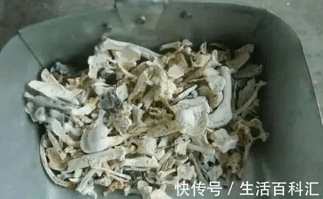 瓜果|不使用磷酸二氢钾养花，那就试试自制肥料，在家就能制作