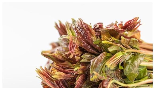 红芽|凉拌香椿芽时,需要先焯水吗?教你好吃的做法,香椿芽鲜美又入味