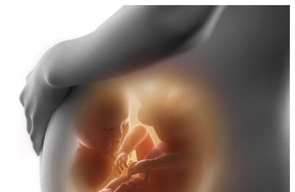 羊水|怀孕后,为何有的不显怀,有的肚子却大得像球?多半和这4点有关