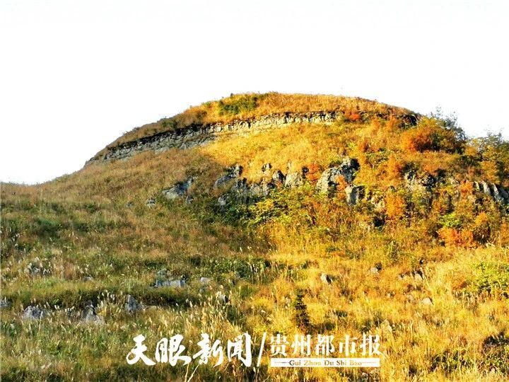 “油炸豆腐石”谜底揭开！贵州发现神秘地质奇观