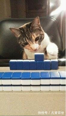 |搞笑动图:不好好走路,哥们你抽筋了么?