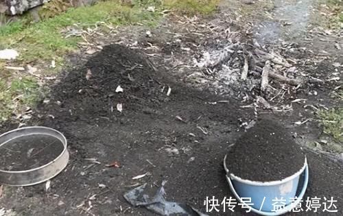 混搭土养花技巧:备上这几样,从此养啥花都能轻松应对