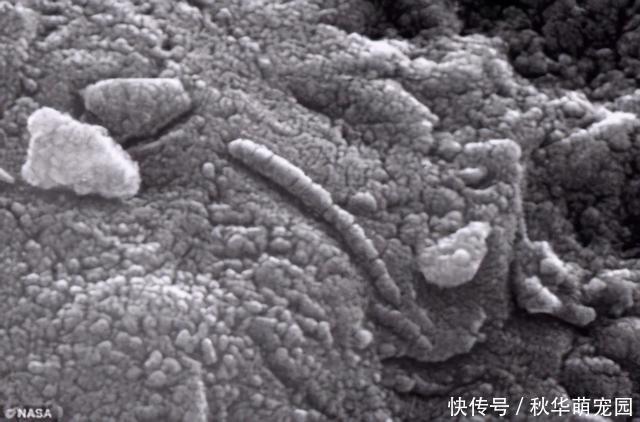 火星 玉树陨石坠地那一刻，有一群人已经挎上背包，开启他们寻宝之旅