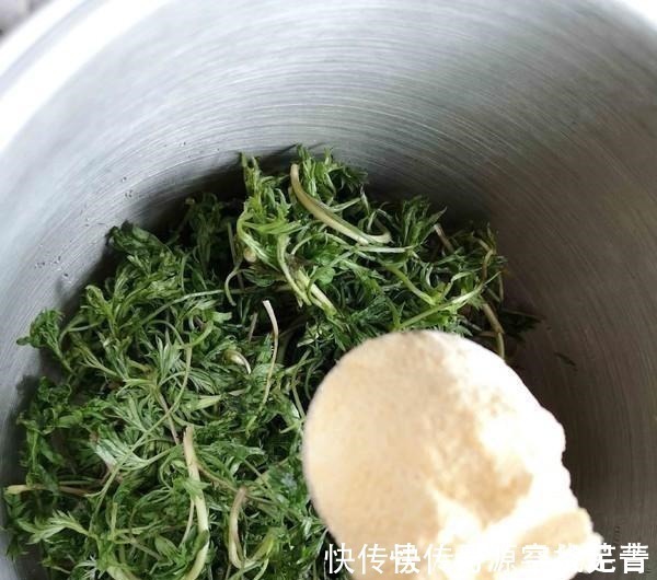 野菜|日本人每天必吃的“长寿菜”，我国产量大但没人吃，含钙比牛奶高！