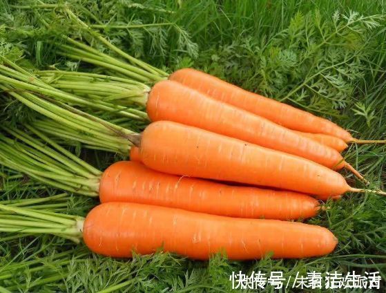 坏血酸|冬吃萝卜夏吃姜，胜过一生开药方，牢记吃萝卜的6大禁忌