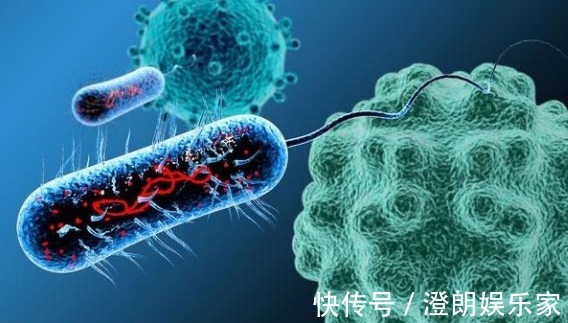 癌症|辟谣总听到“夫妻癌、兄弟癌”,癌症还会传染吗了解一下