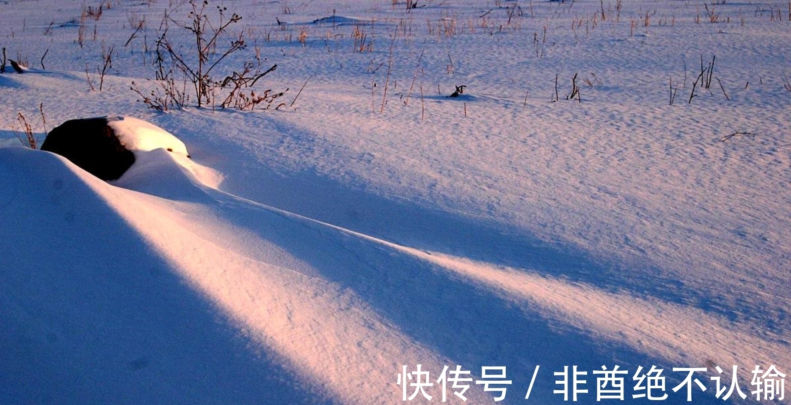 蝗灾!苏轼离任密州时恰逢除夜大雪,作五言诗一首,心系百姓、感人肺腑