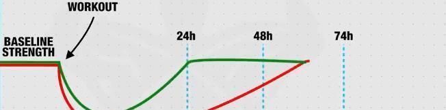 募集|健身撸铁时,每组要做到力竭,增肌效果会更好吗