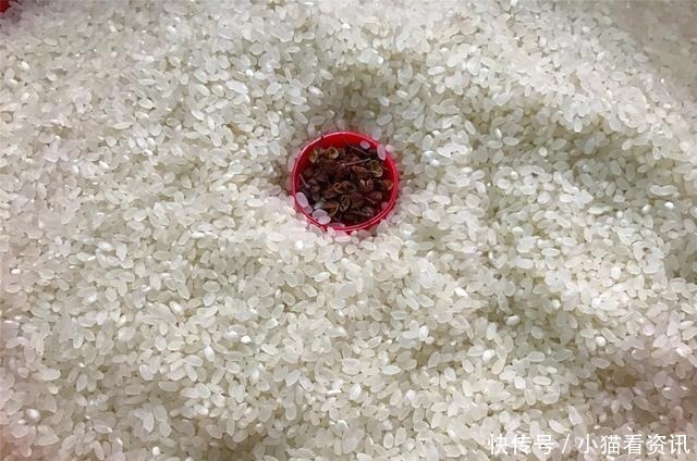 学会大米的正确储存方法,放一年都不生虫不发霉,简单又实用