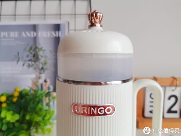 no，no|七彩叮当迷你养生壶，一壶暖时光，开启“轻”生活