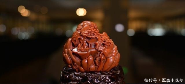 只为|男子爱宝成痴,50万卖掉别墅只为换块“红烧肉”,专家千万别卖