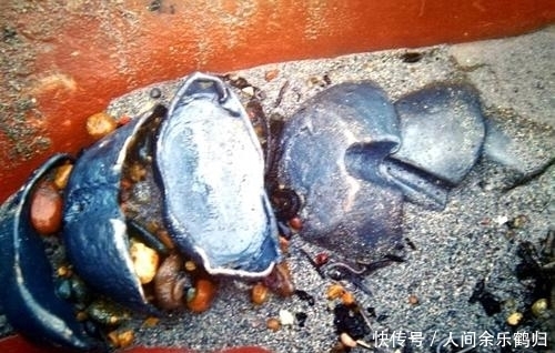 中国|中国传说中的五大宝藏,还有三个没找到,价值不可估量