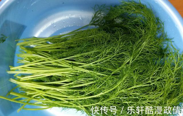 回味无穷|包饺子用这个菜，比韭菜香味还浓，拌饺子馅鲜香味美，回味无穷