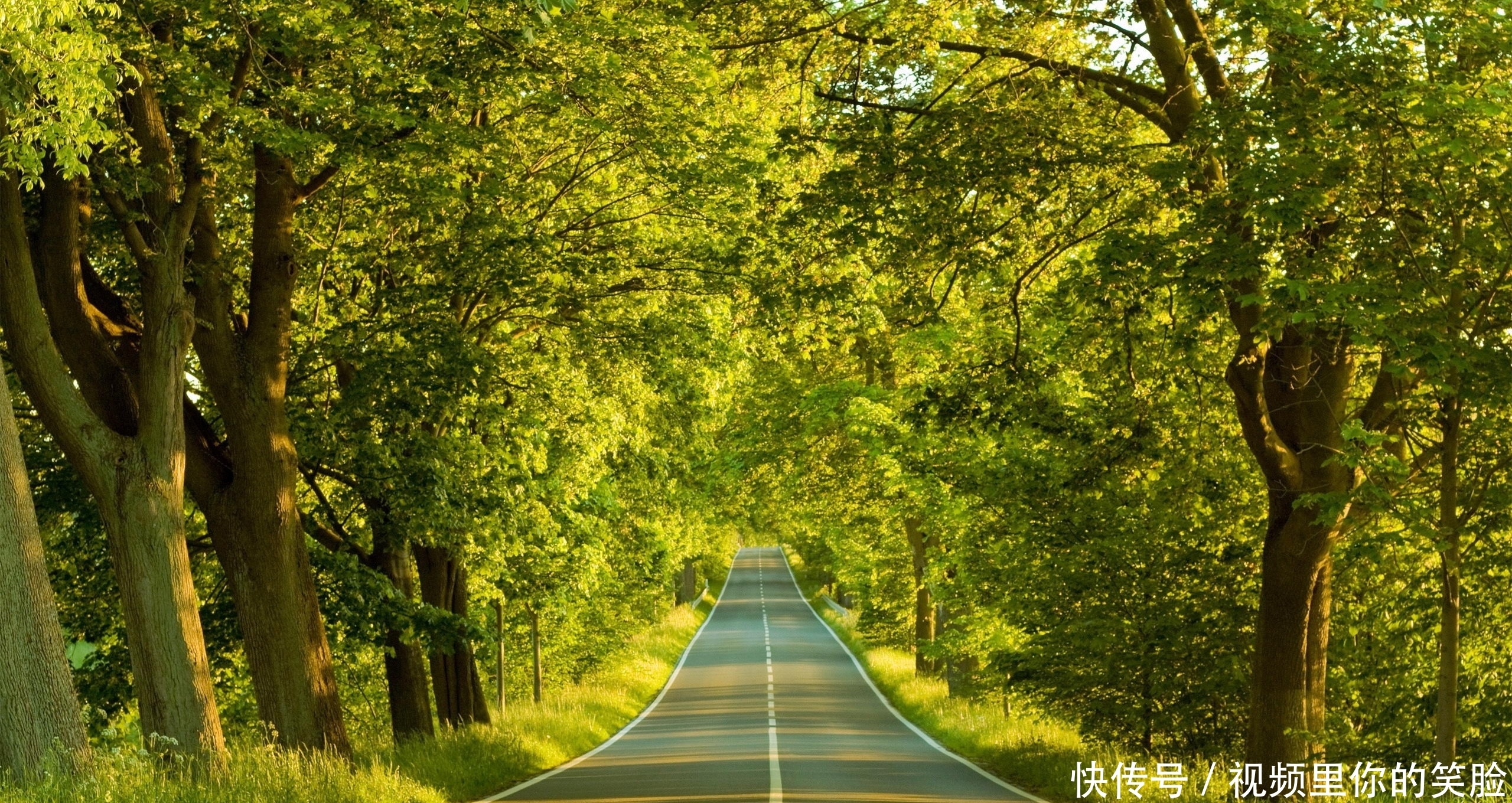 坐上生活的“列车”，前往心中的那片地方，最美的景色就在这里