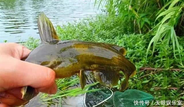 野钓人多时如何提升渔获?爆护难但有好收获不难