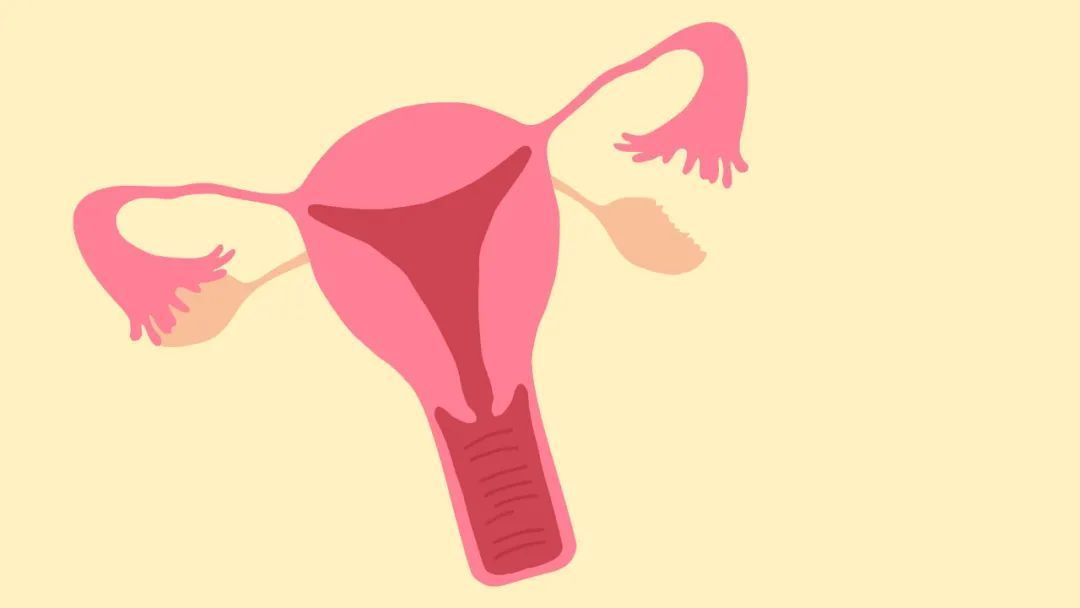 卵巢|45岁绝经，与55岁绝经相比，谁衰老得更快？3个常识需了解清楚