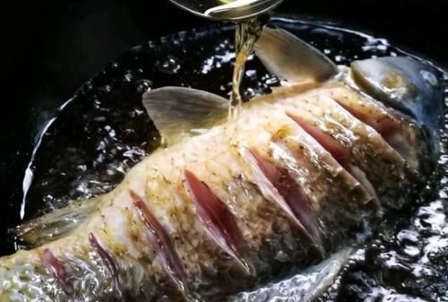 炖鱼时,别只会放料酒和醋,多加这1样,鱼肉鲜嫩香,还无腥味