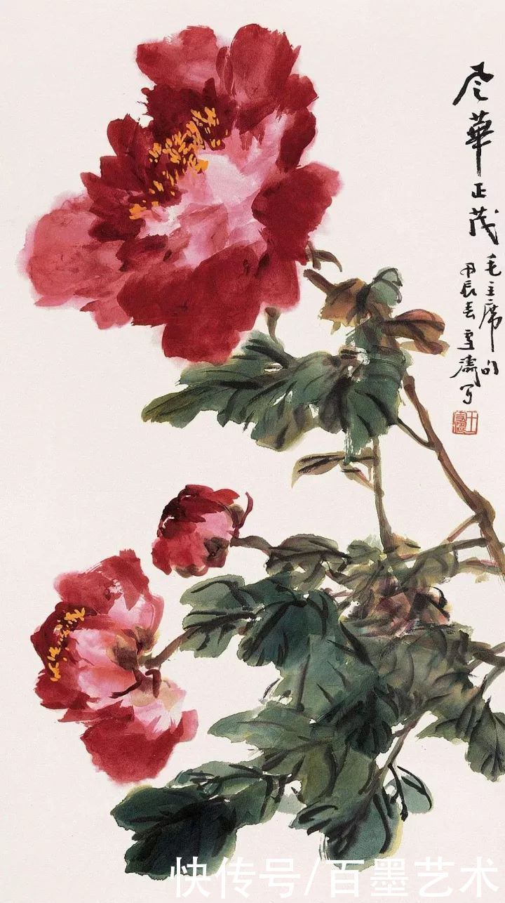 小写意|唯有牡丹真国色!小写意牡丹画150幅,美醉了