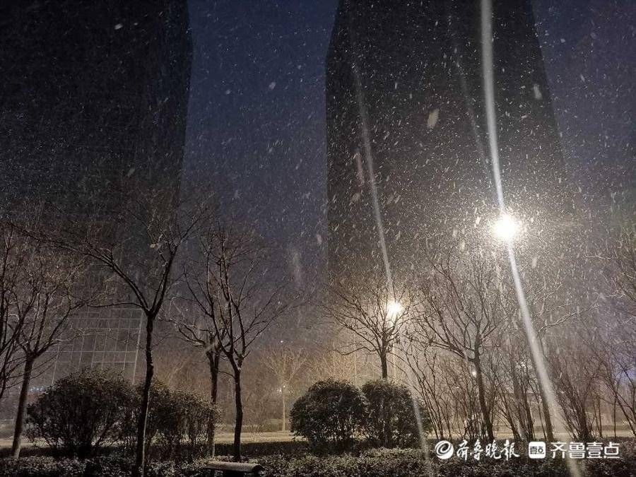 情报员|山东多地雪花到货，情报员用镜头记录清晨雪景，注意添衣保暖哦