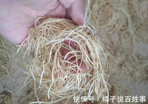 腰突|谁说腰突治不好，葱须加上它，腰疼腿麻都能解！