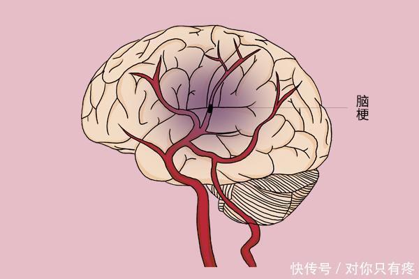 为什么把55岁,称为男人的“养寿期”两个原因,医生帮忙找到了
