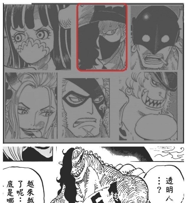 绿牛|海贼王978话情报更新,阿金终于知道自己是谁了,还有人在瞎分析