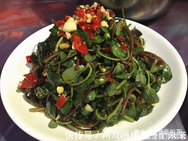 二羟乙胺|在农村有一种晒不死的长寿菜,市场要卖10元一斤,自己去采不花钱