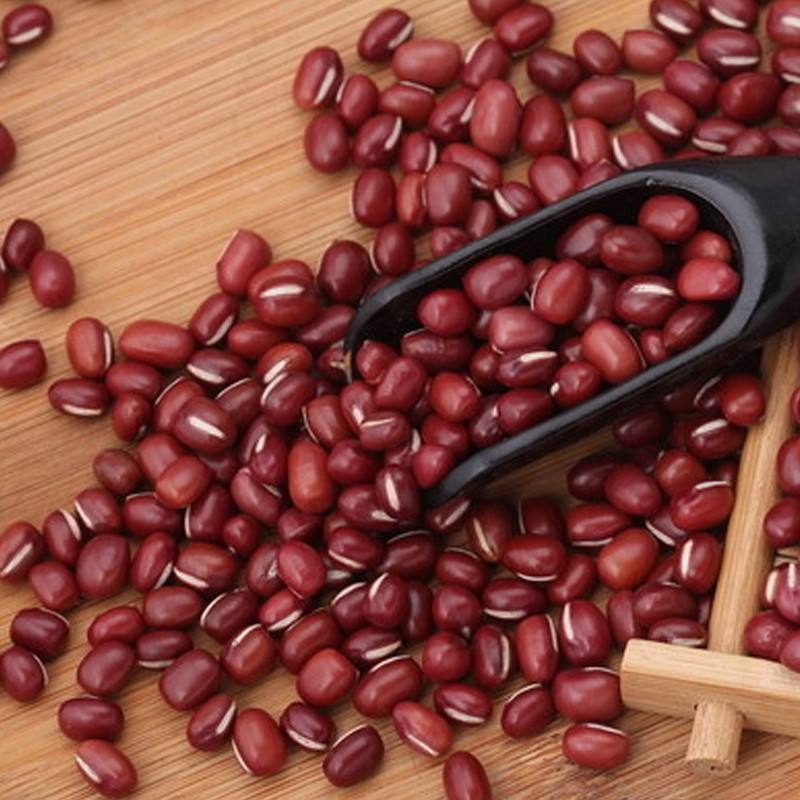 小米粥|立秋后,红豆和此物一起煮,头发黑了,睡眠好了,皮肤变得更细腻