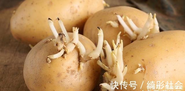 毒素|发芽的大蒜不能吃？专家：3种食物发芽后，吃了对人体更好