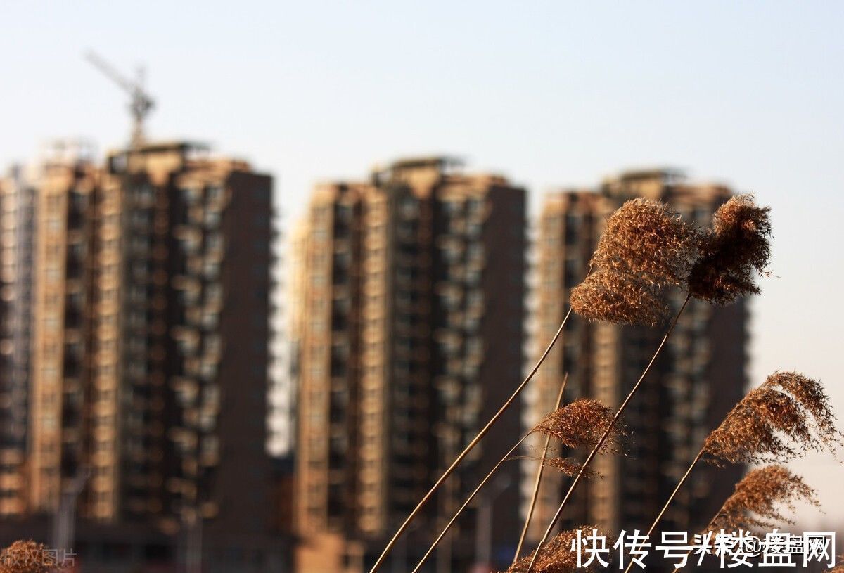 资金链|资金链紧张,为什么房企不卖地“自救”?主要原因有三点