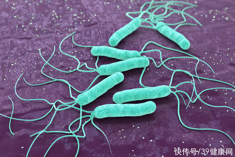 用药|感染7亿人的幽门螺杆菌,最怕大蒜和蜂蜜?2种用药才是根治方法