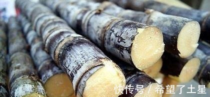 金牌|冬天寒冷,不管工资高低,这6种金牌水果要常吃,润肤润燥营养多!