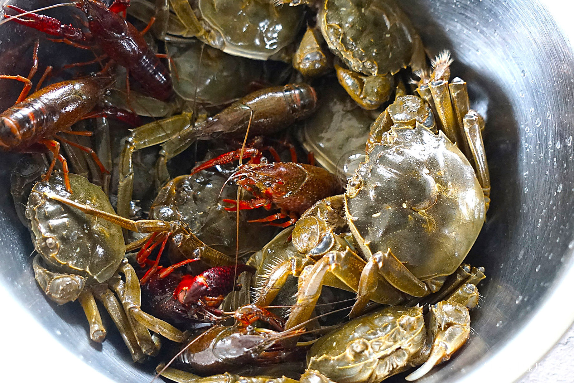 入秋后,螃蟹此做法太实用了,不油炸不清蒸,味道鲜美还不掉蟹脚!