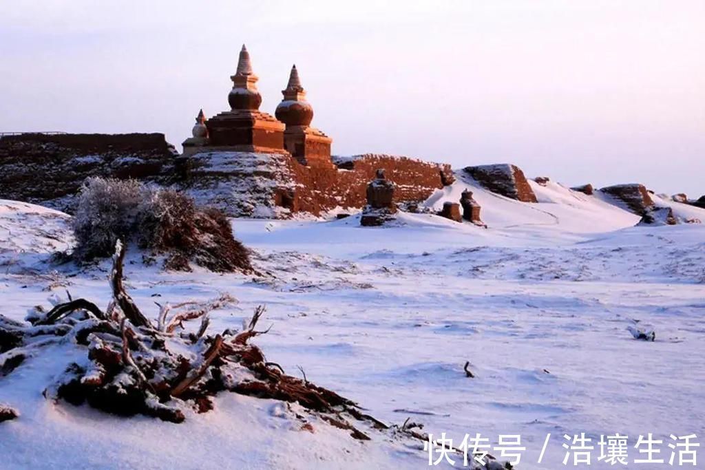 征蓬|隐匿在沙漠的秘境盛景，雪后美过了胡杨林！